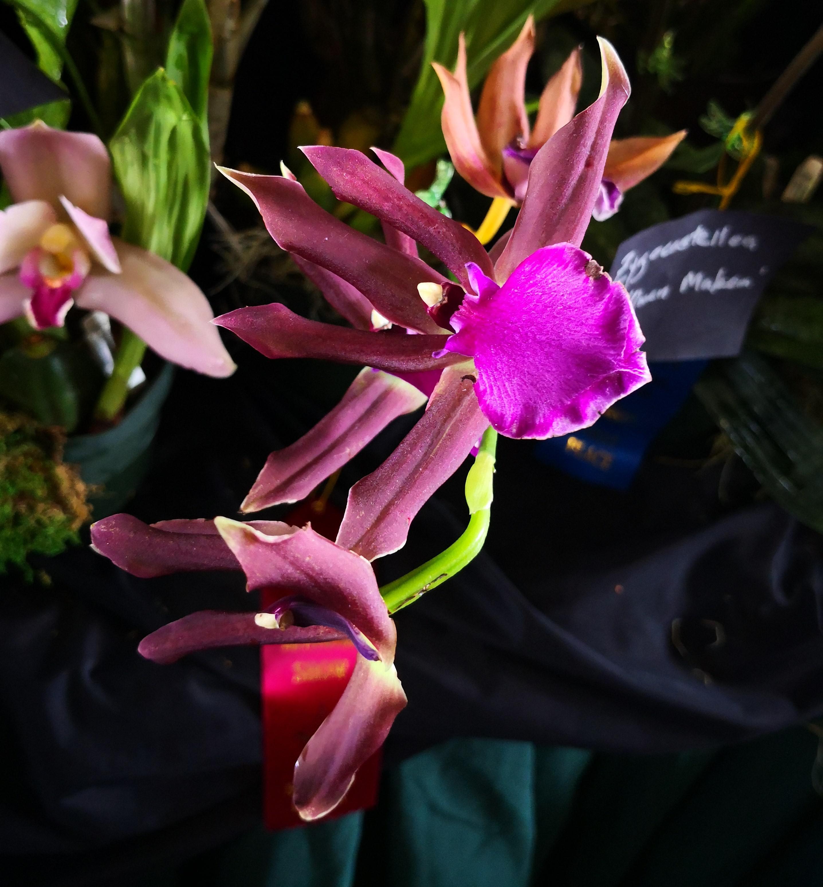 utils/images/hybrid/hyb_100995760_000003239.jpg