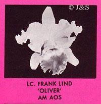 Cattleya Frank Lind