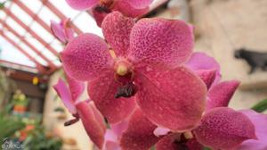 Vanda Roly Benitez