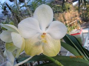 Vanda Fe Pregunta