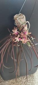 Paraphadenia Juraj Kojs