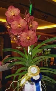 Vanda Adisak Happiness